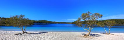 Lake McKenzie - Fraser Island - QLD (PB5D 00 51A1692)